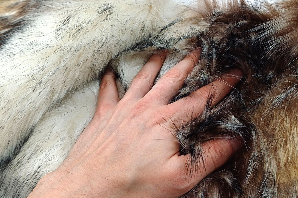 Pelzimitat Deluxe - Kojote