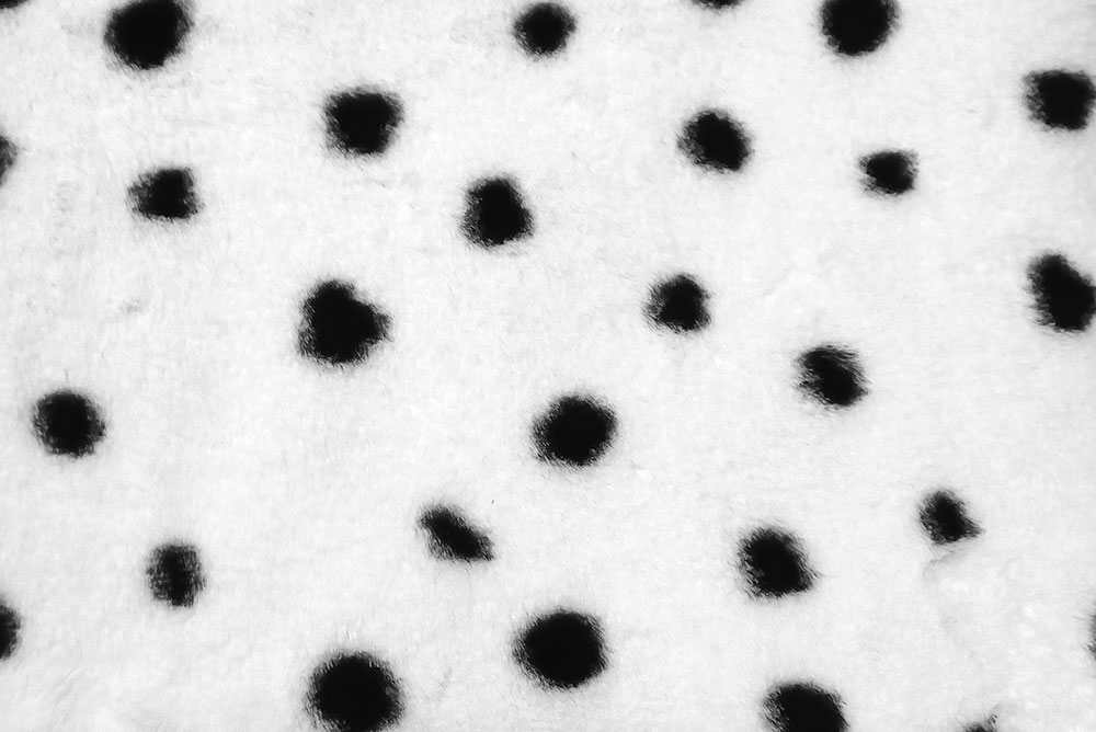 Flausch-Fell - Dalmatiner