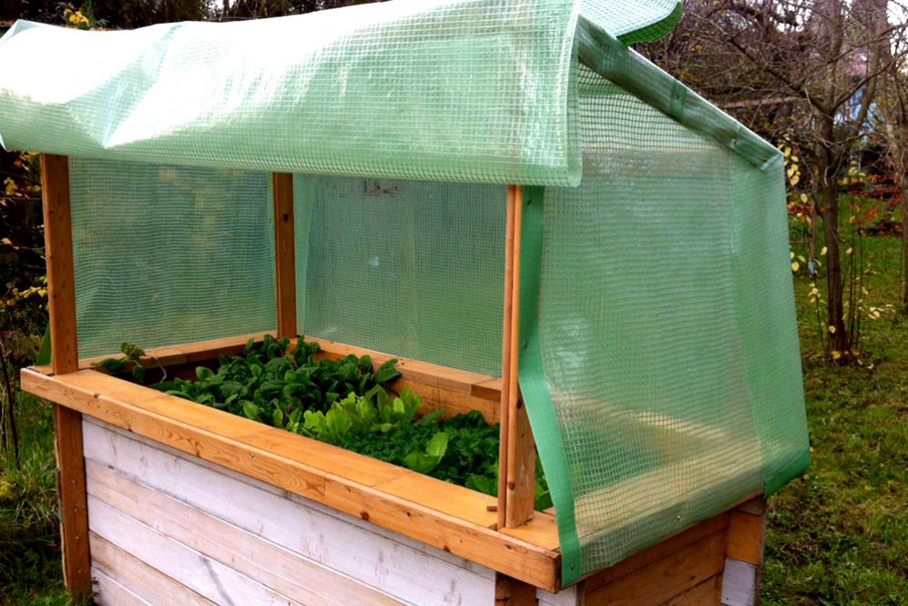 Gewächshausfolie mit Nagelrand - Hellgrün