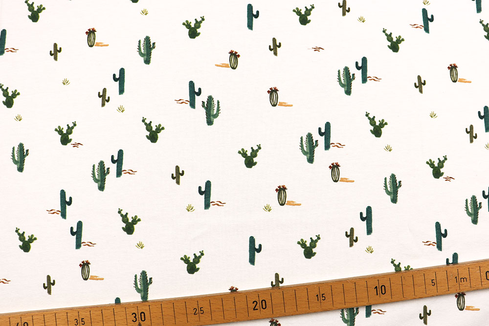 Jersey Digital - Wüstenkaktus