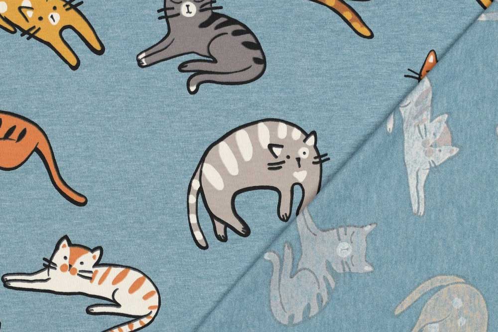 Jersey - Miezekatzen