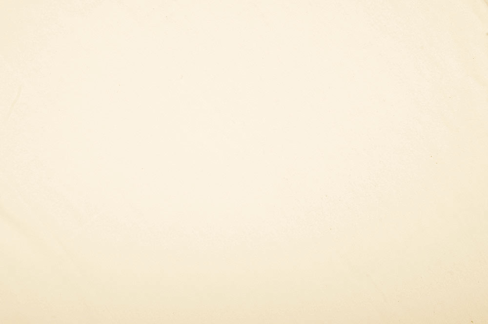 Foto Molton B1 - 300 cm - ohne Naht