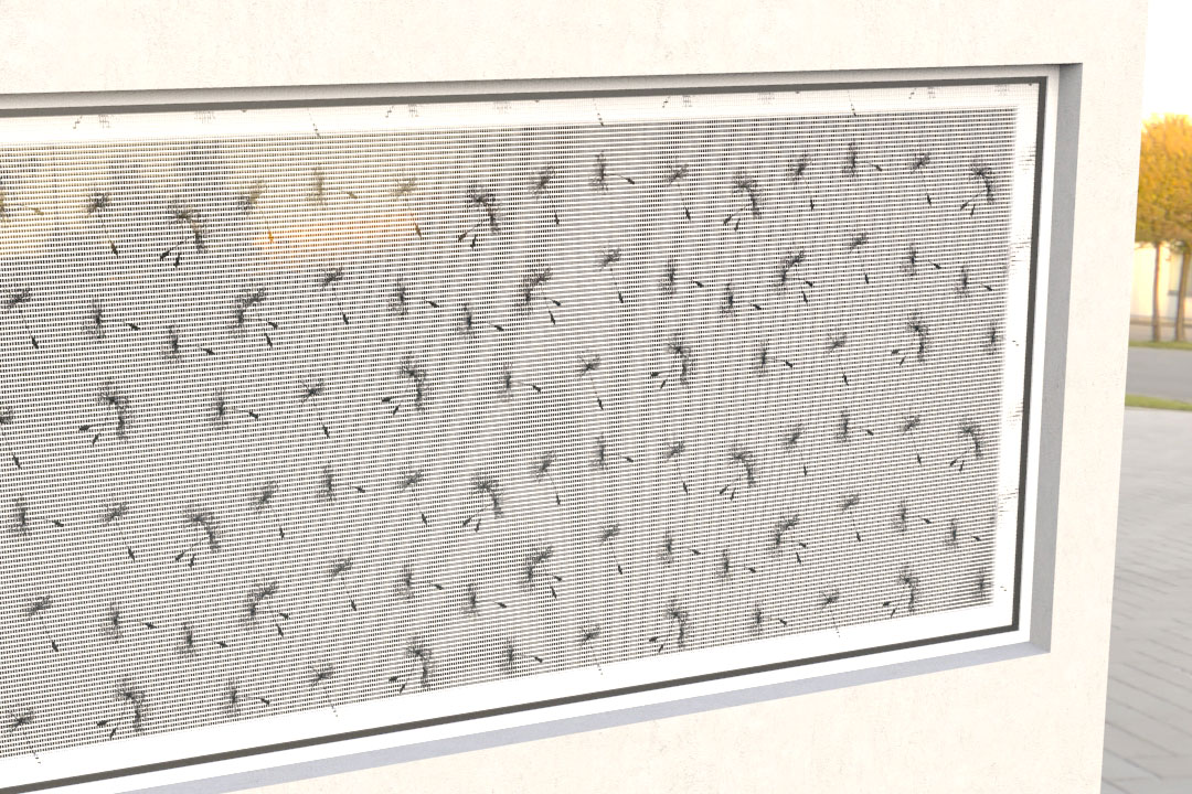 Moskitonetz-Stoff - Pusteblume