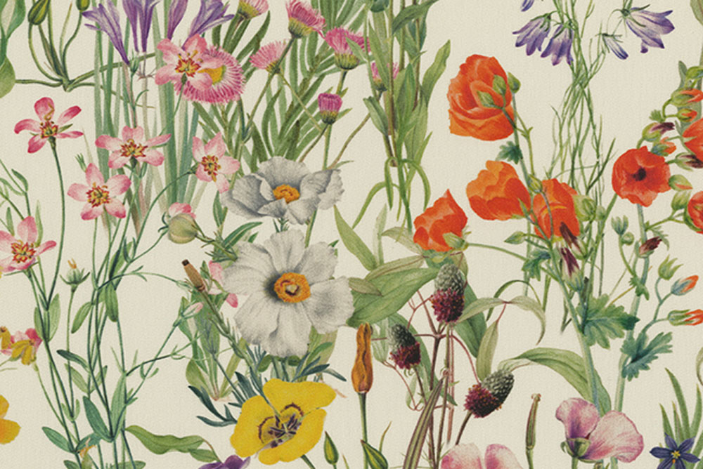 Outdoor-Stoff Dralon® - Digitaldruck - Wildblumen