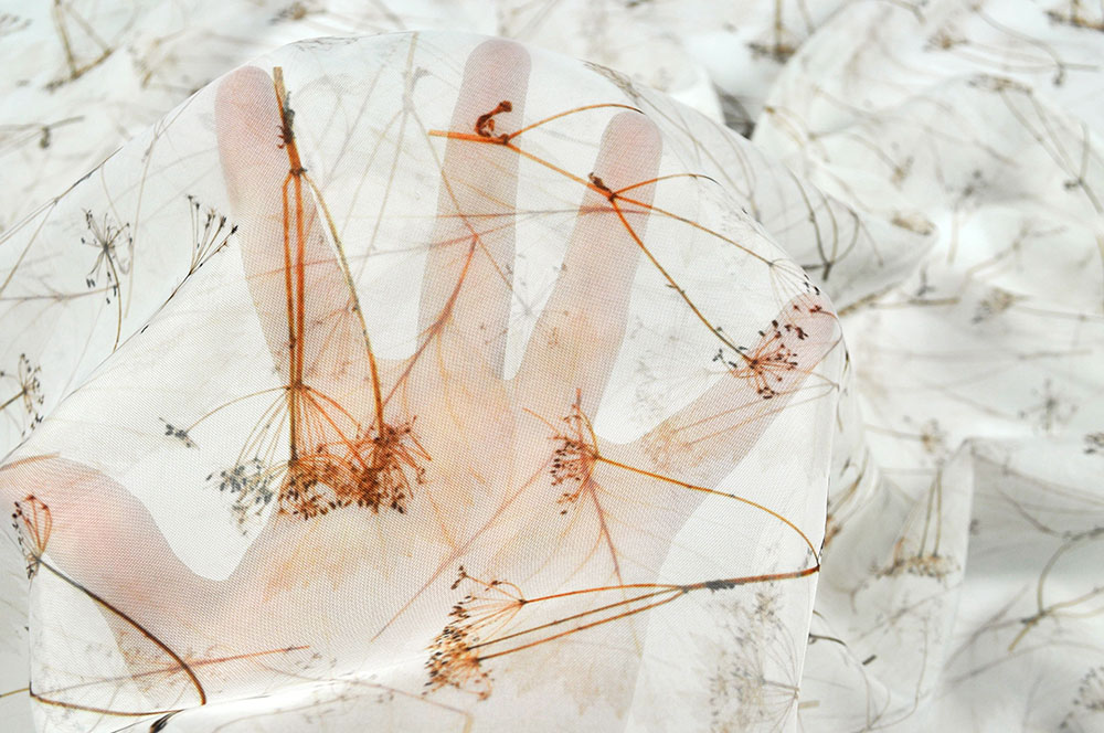 Voile - Herbstliche Blätter und Zweige