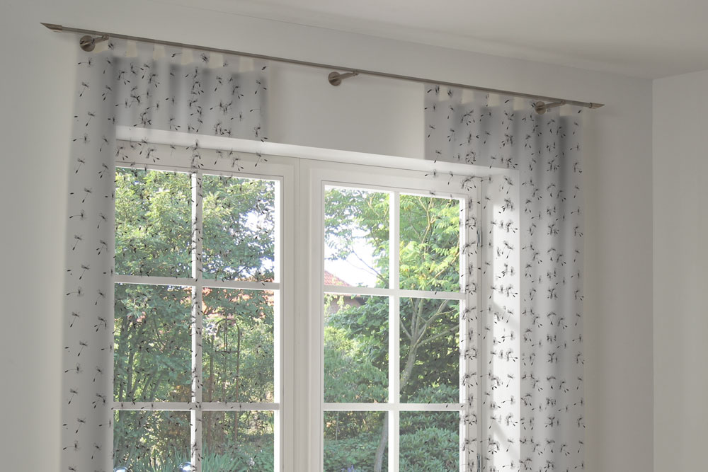 Voile - Pusteblümchen