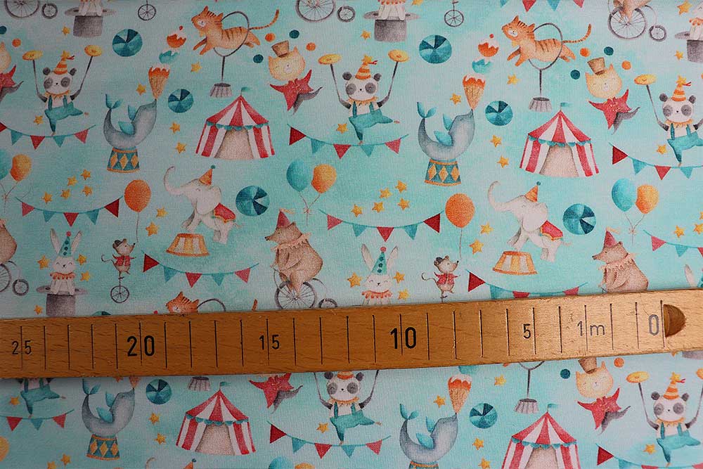 Jersey Digital - Zauberhafter Zirkus