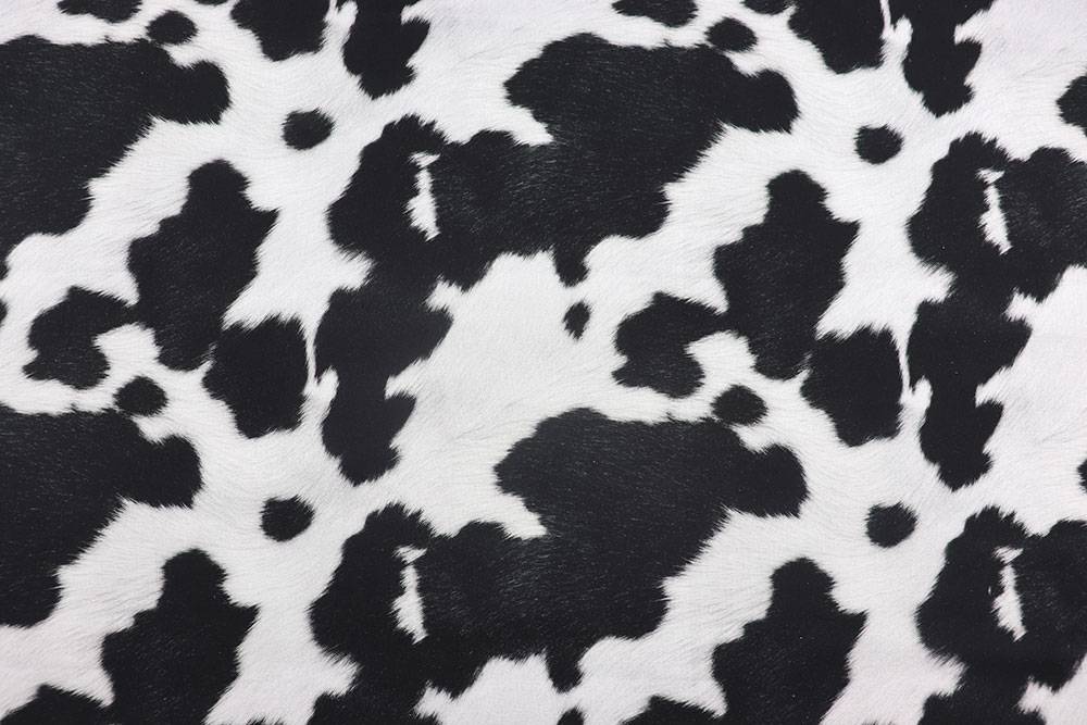 Baumwollstoff - Kuhflecken