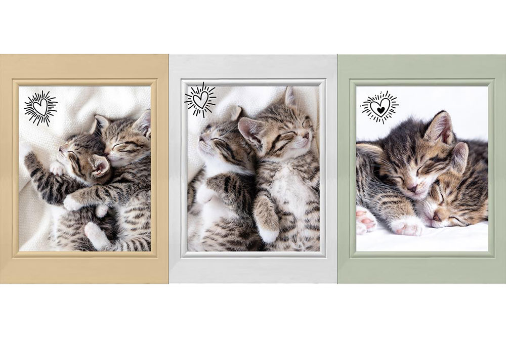 Panel - 3 Motive - Katzenliebe