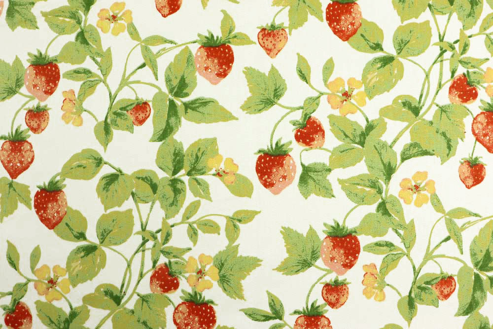 Baumwollstoff Köperbindung - Erdbeer-Ranken