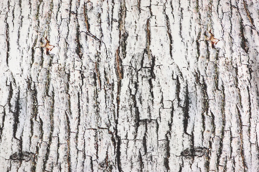 Dekostoff - Baumrinde