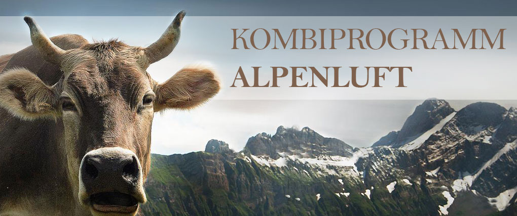 Baumwollstoff Vichy-Karo - 1 cm - Alpenluft