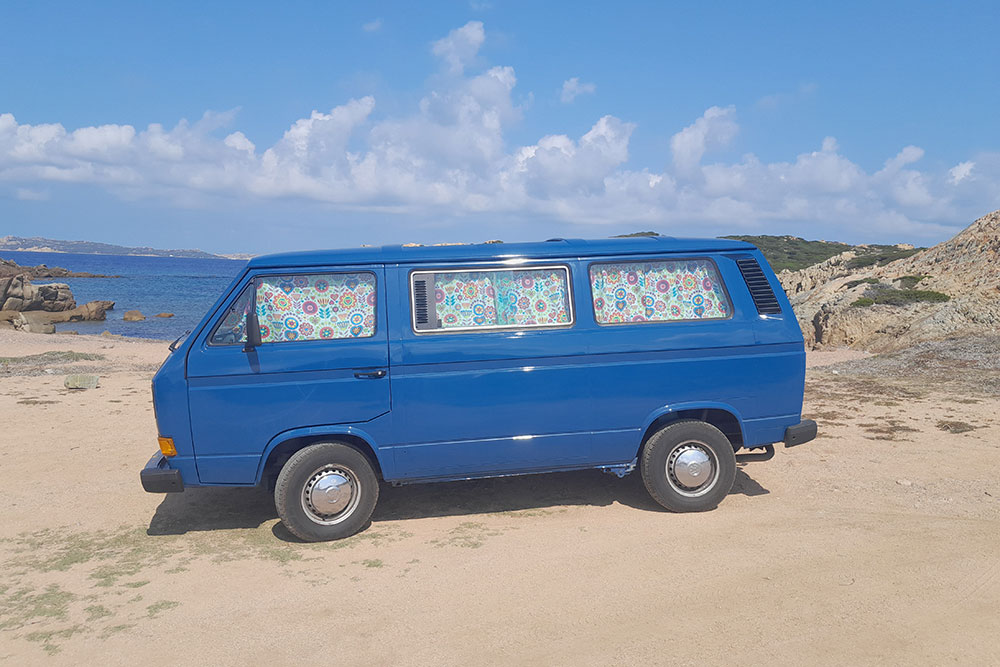 Blackout perm. schwer entflammbar - Retro-Blumenwiese