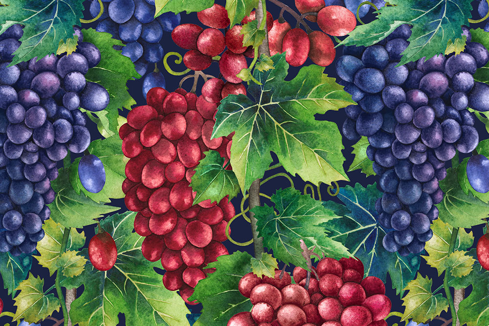 Dekostoff - Weinrebe