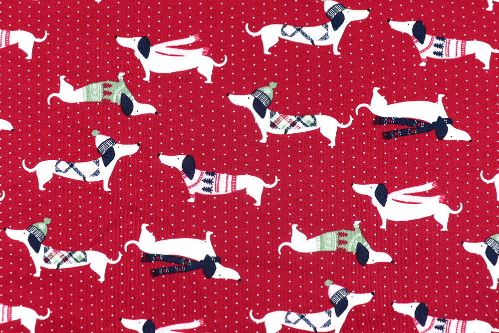 Jersey - Winter-Dackel