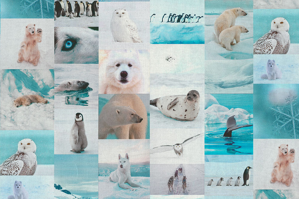 Dekostoff Digitaldruck - Polar Life