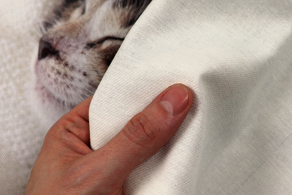 Panel - 3 Motive - Katzenliebe