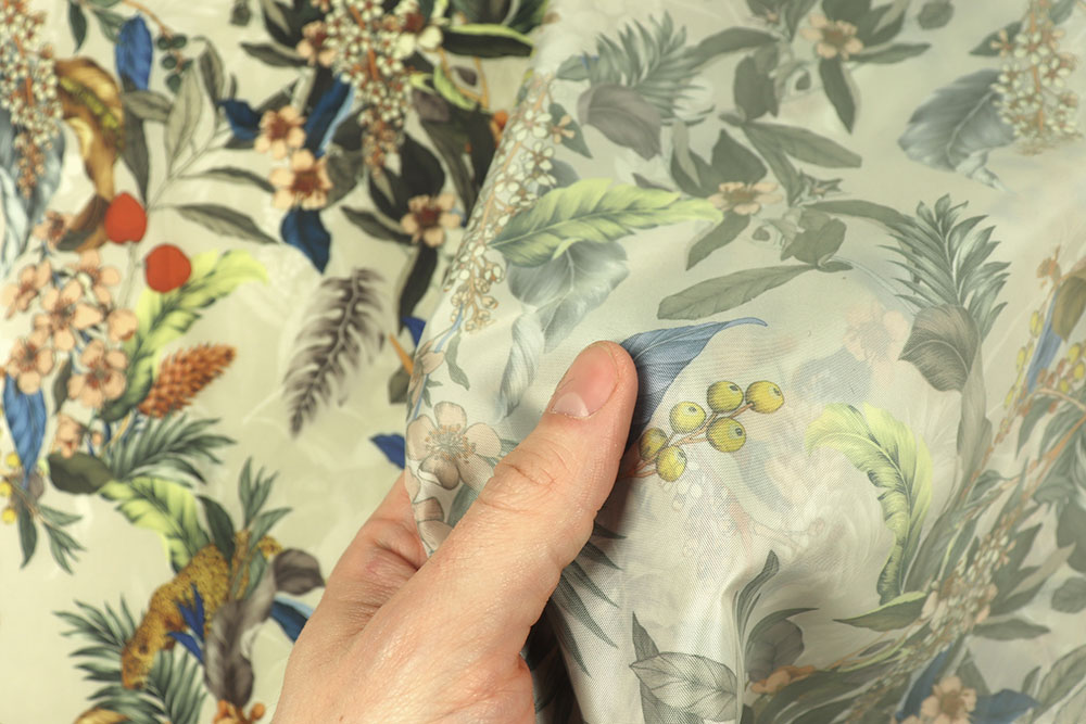 Premium-Taft - Leo Wildlife