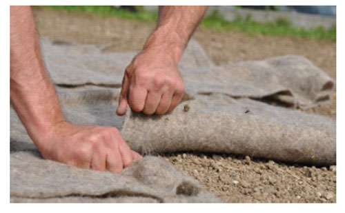 Saison-Mulchmatte - Schafschurwolle - Natur