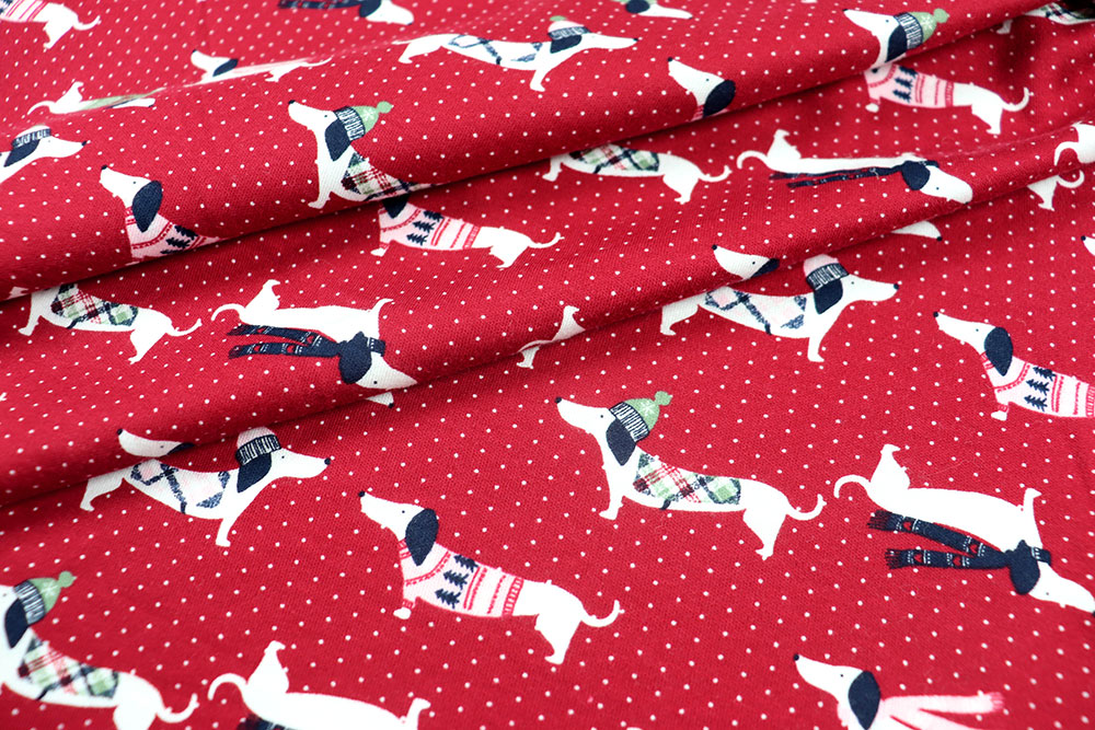 Jersey - Winter-Dackel