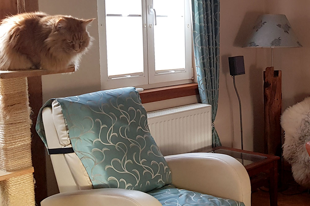 Dekostoff Jacquard - Edel-Ranken - Petrol/Gold