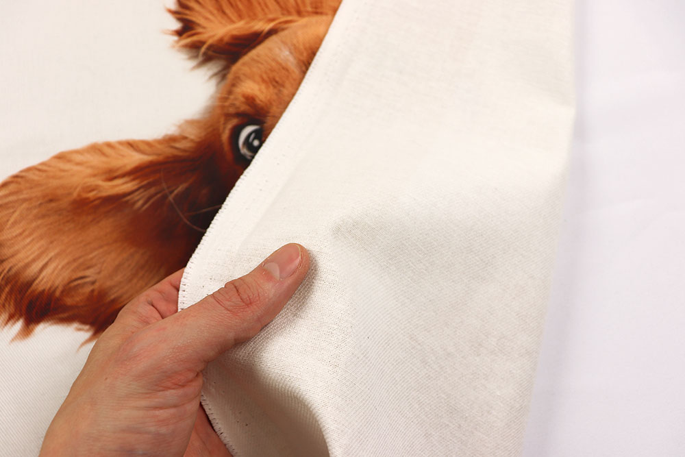 Panel - 3 Motive - Hundeliebe