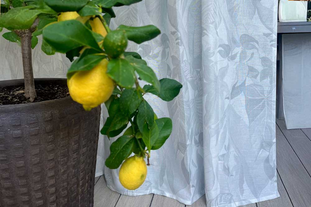 Outdoor-Gardinenstoff - Leaves - 315 cm