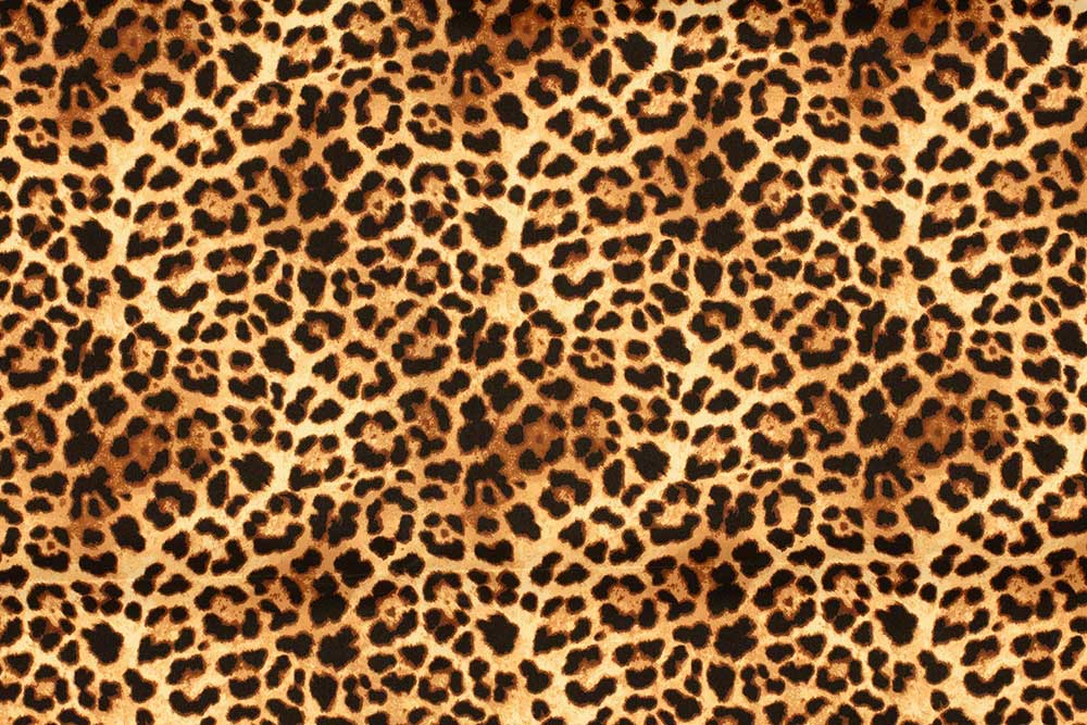 Badehosen Stoff - Leo Swim