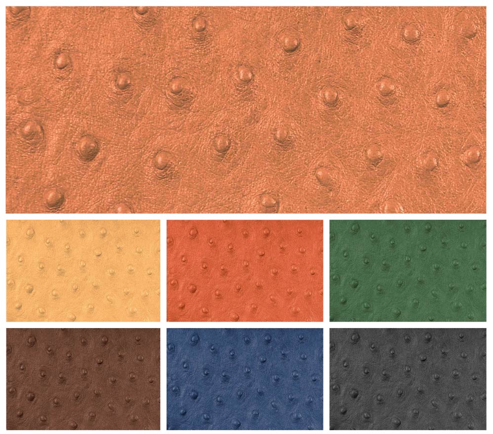 Echtleder geprägt - Strauß - ganze Haut