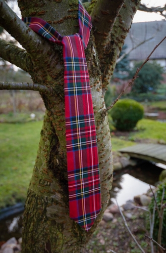 Krawatte mit Schottenkaro-Muster, die an einem Baum hängt